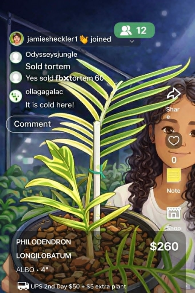 Live plant sale in the ileafU app with chat, product details, and shipping