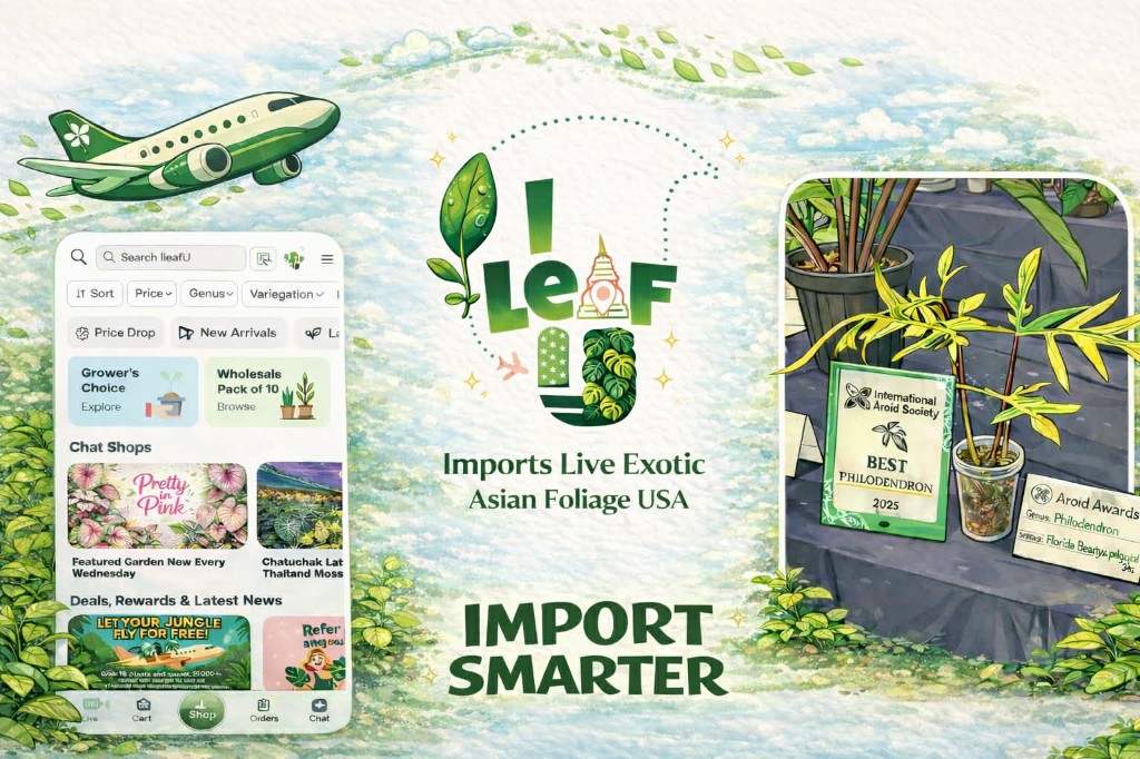 ileafU