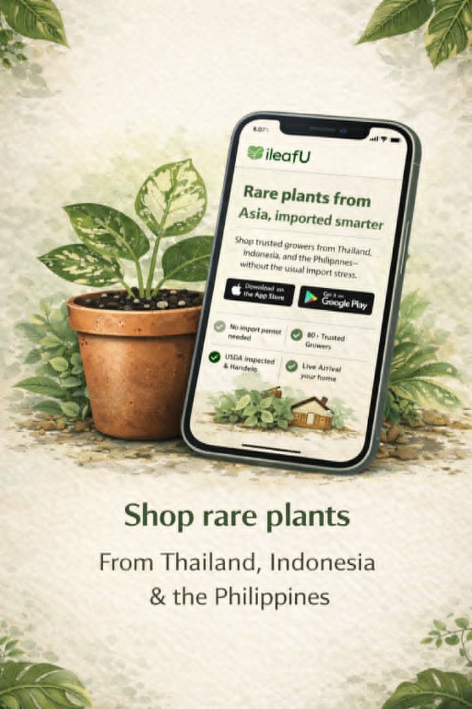 Shop rare plants from Thailand, Indonesia and the Philippines — ileafU app beside a potted plant on a botanical cream background.